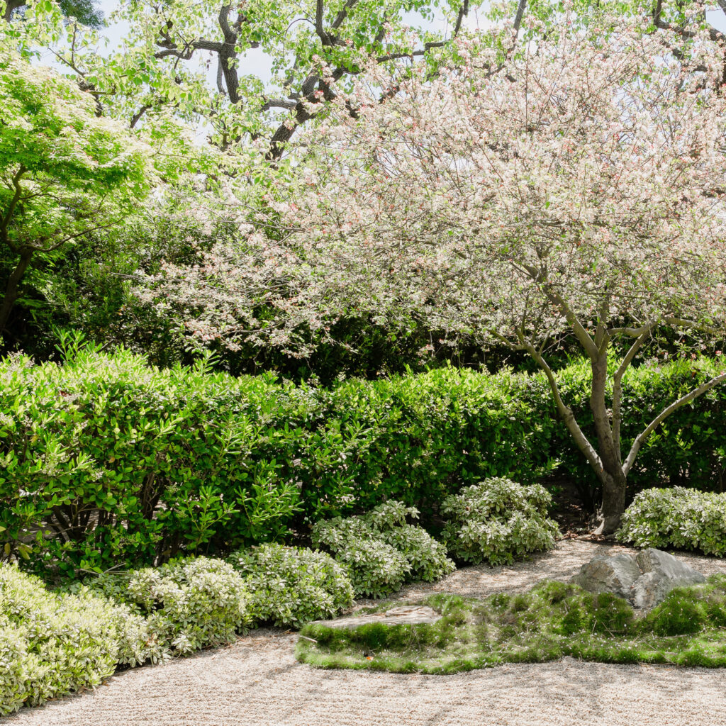 Makidon Garten- und Landschatsbau