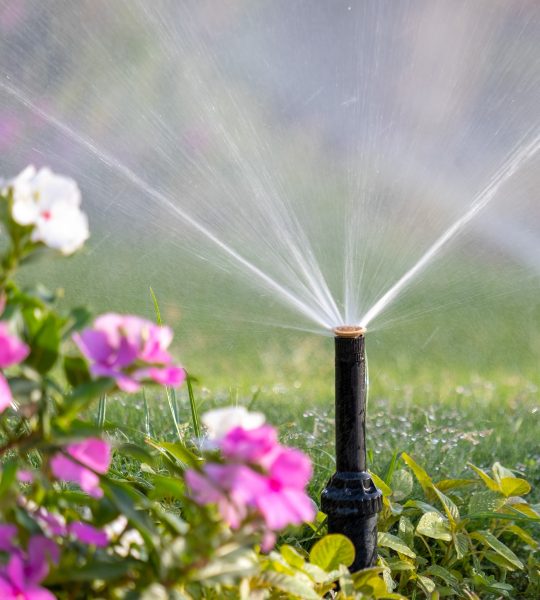 Automatisierte Bewässerungsanlagen für Ihren Garten nach persönlichen Vorstellungen in Schifferstadt und der gesamten Pfalz.